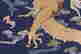item-131212215=12