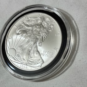 2008 Walking Liberty Silver One Ounce Coin