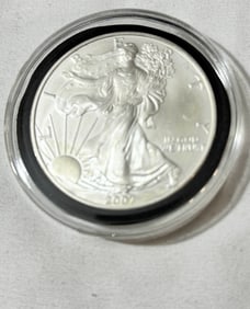 2007 Walking Liberty Silver One Ounce Coin