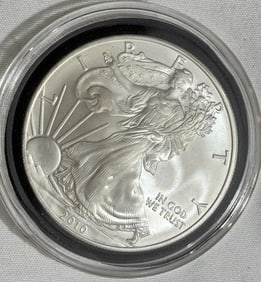 2010 Walking Liberty Silver One Ounce Coin