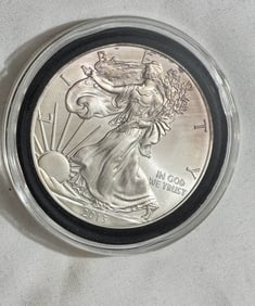 2013 Walking Liberty Silver One Ounce Coin
