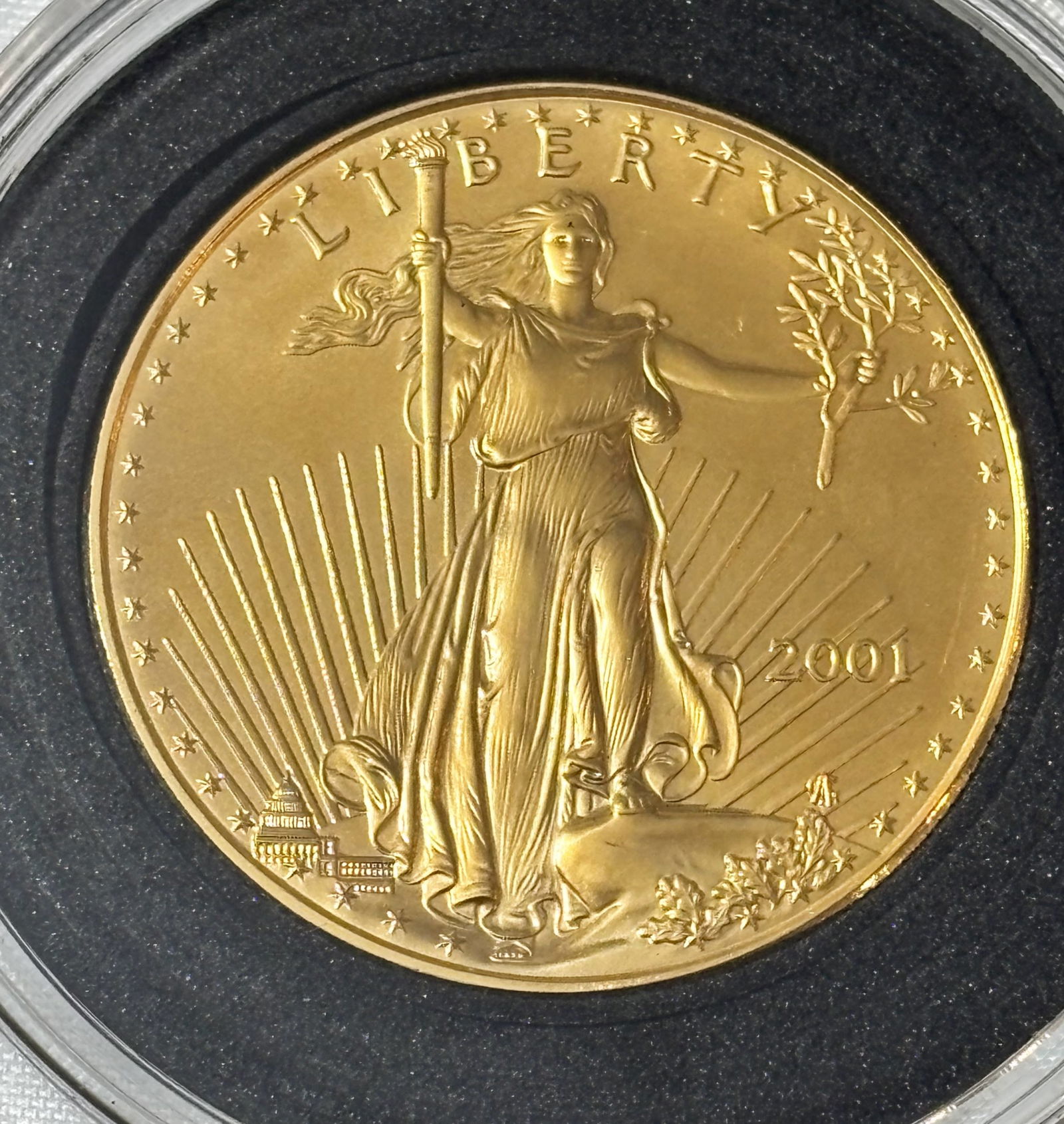2001 One Troy Ounce Gold Coin (1 of 2)