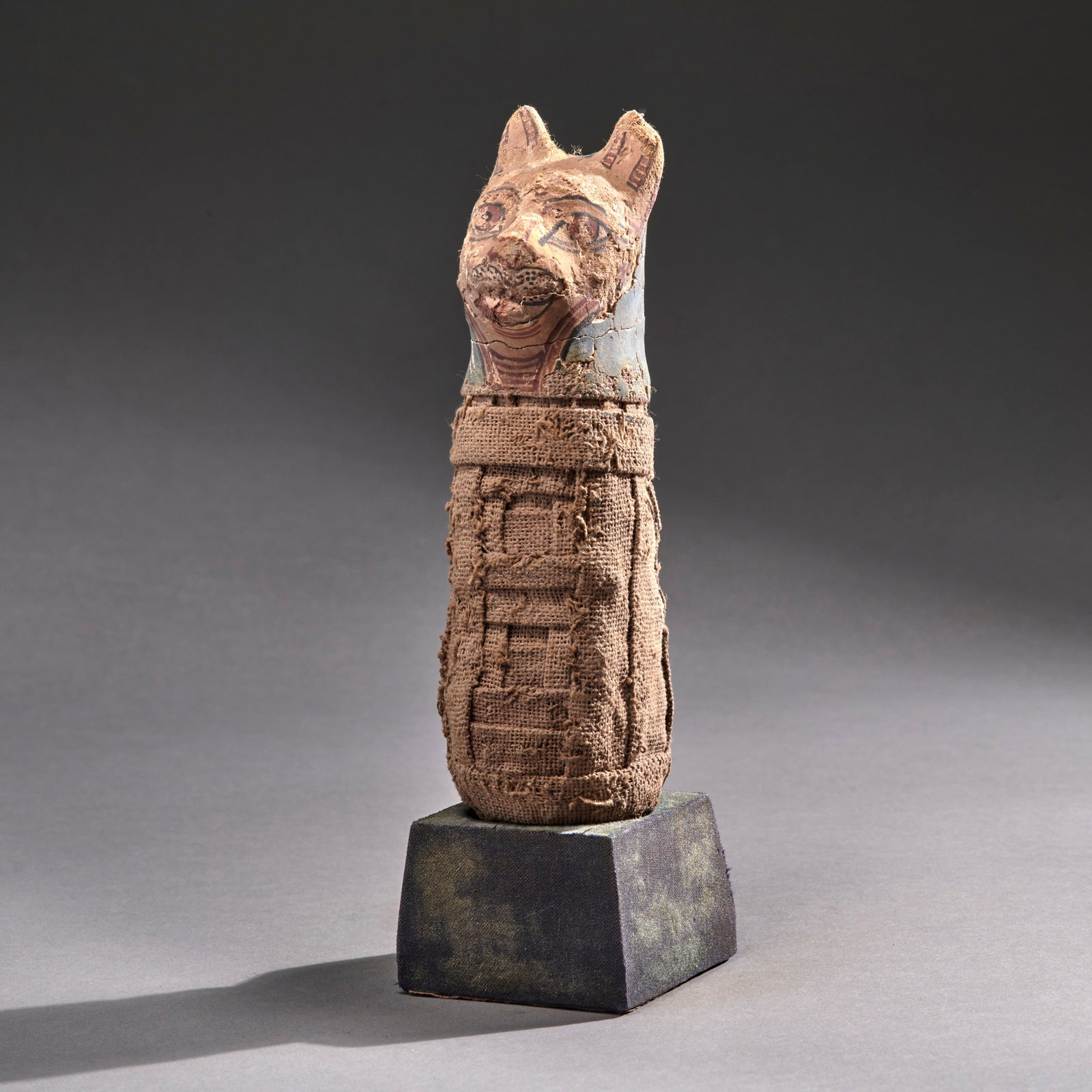 An Egyptian Mummified Kitten: Ptolemaic Period, ca. 3rd/2nd century B.C., a very rare Egyptian kitten mummy, with elaborate cross banded linen wrappings, surmounted by a polychrome gesso bust of a cat, mounted on an old cloth cove