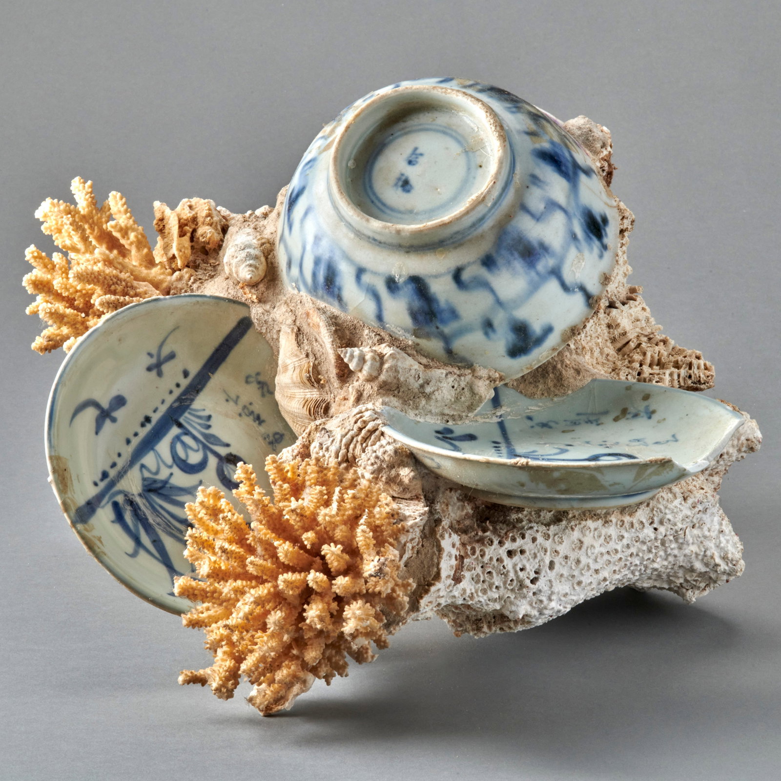 Shipwreck Ceramics: Circa 17th century, likely from a S.E. Asian wreck of a Chinese ship, the blue and white decorated plates and bowl covered with encrustations of sediment, shells and coral. Very attractive. Losses and