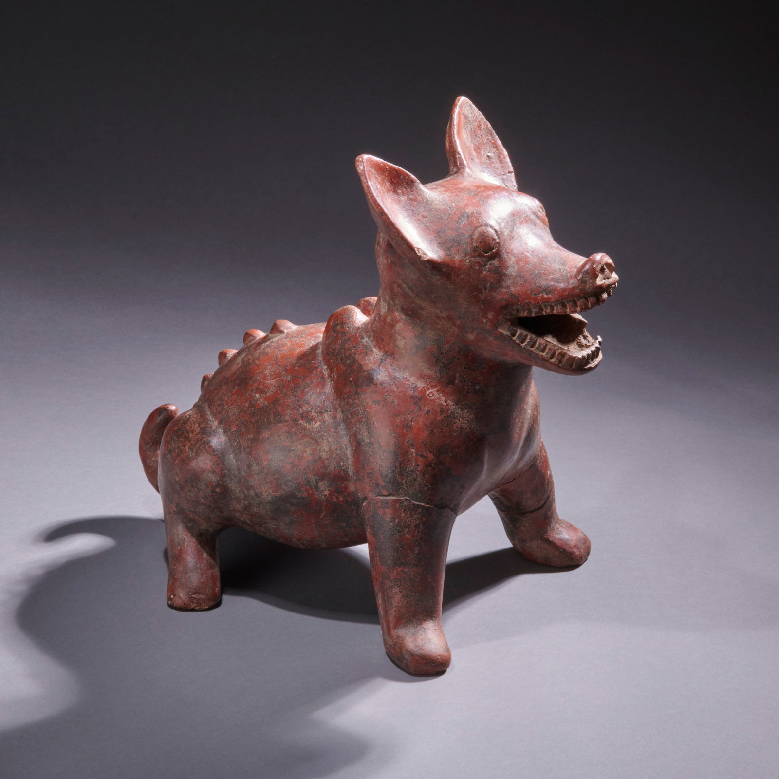 A Large Colima Redware dog: West Mexico, circa 100 B.C.-250 A.D., a rare form, seated in an aggressive pose, with demarcated shoulder blades and spinal column, its mouth open in mid-bark, with bared teeth. Two legs and an ear re