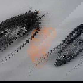 A Swiss wood mask: Early 20th century, the large hollowed-out mask with exaggerated and deformed features, with large open eye holes, a deformed mouth with some teeth, and animal hair on the crown. Ht. 15, wd. 8 in.