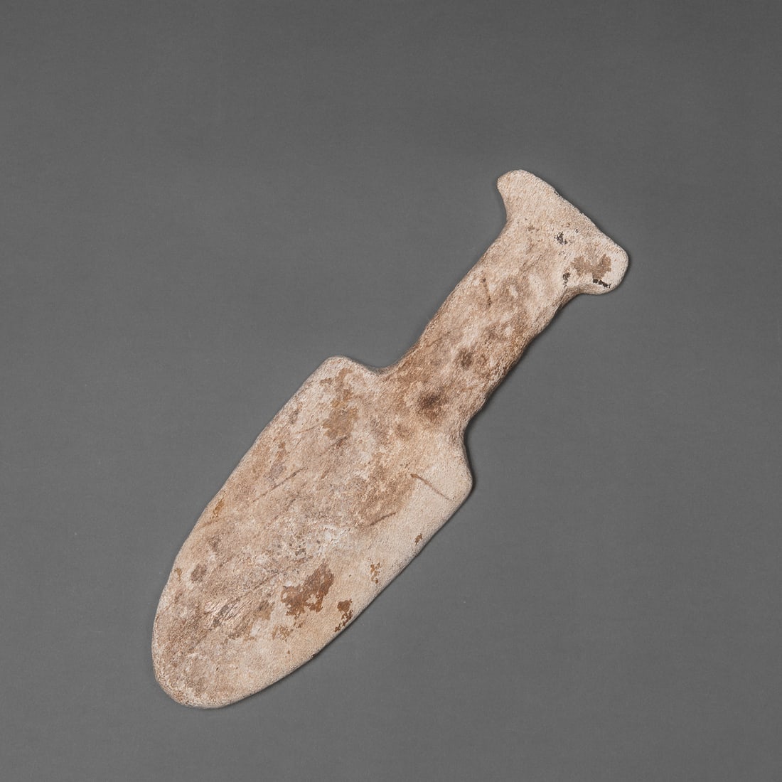 A Hawaiian breadfruit splitter