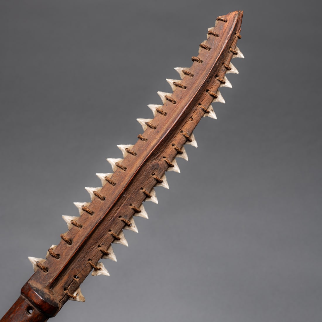A Micronesian shark tooth dagger - 3