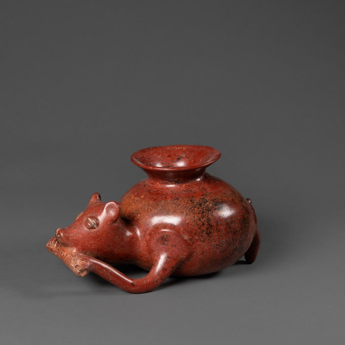 A Pre-Columbian Colima dog (1 of 5)