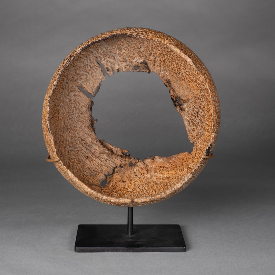 An ancient Iroquois burlwood bowl: Of generous size, the hand-carved burlwood bowl with a rich, weathered surface showing heavy erosion and patination from age and handling. The curved form with uneven rim. Found at an abandoned