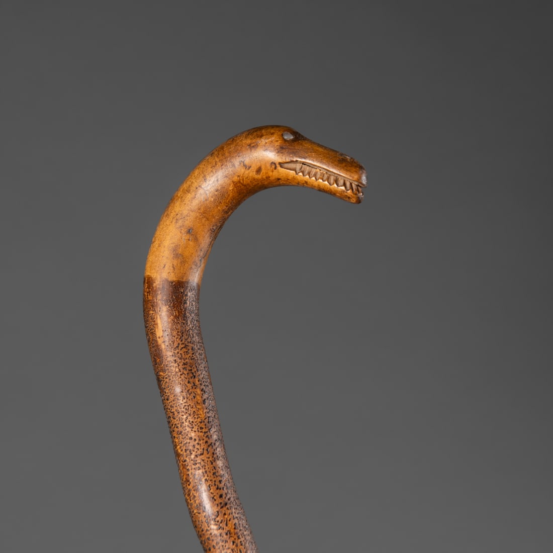 A serpent head walking stick: American, 19th century, the long, thin shaft pigmented with an alligatored surface, the curved head natural wood, the serpent with wide mouth with teeth bared, mounted on a metal stand. Lg. 36 1/4