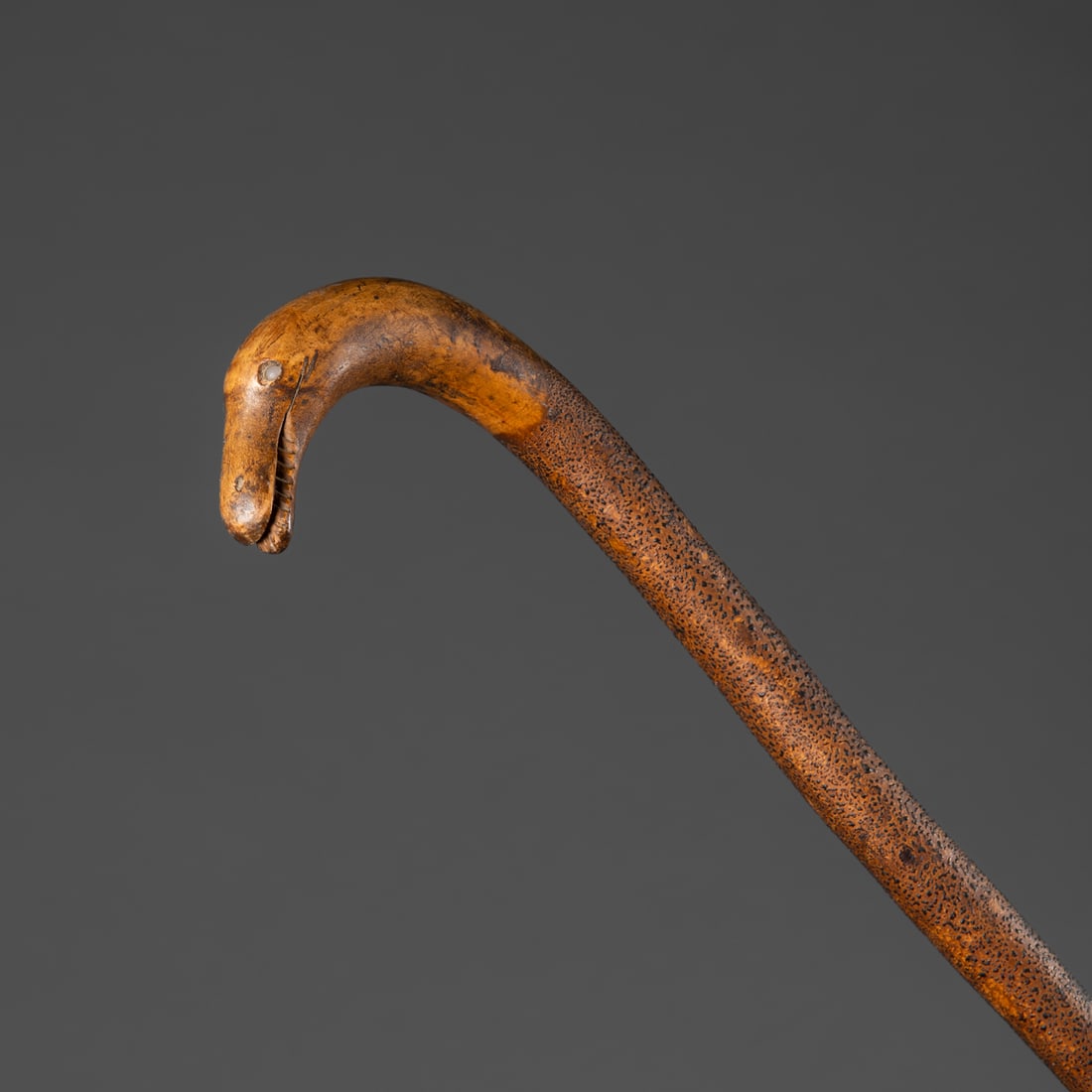 A serpent head walking stick - 2