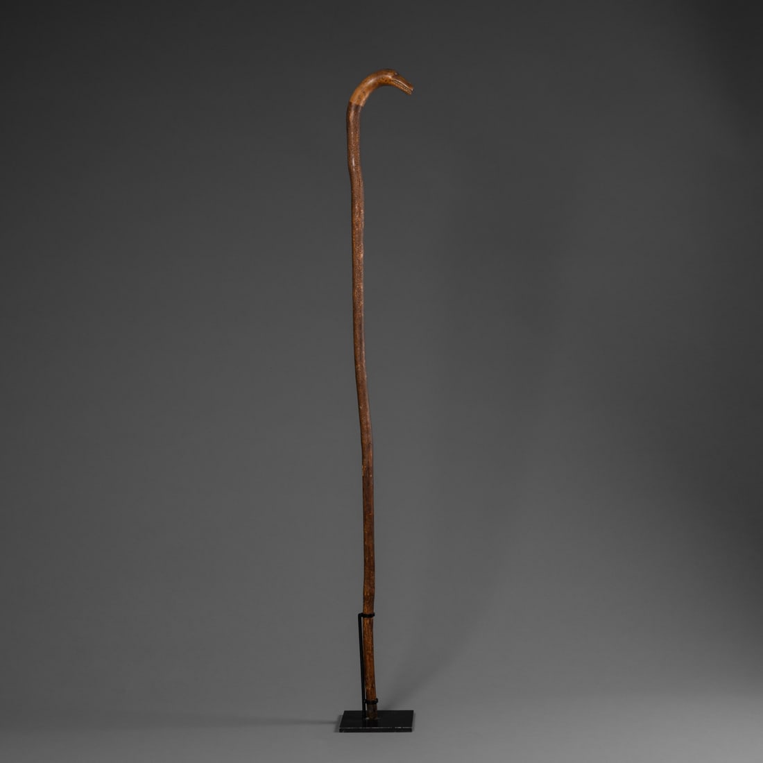 A serpent head walking stick - 3