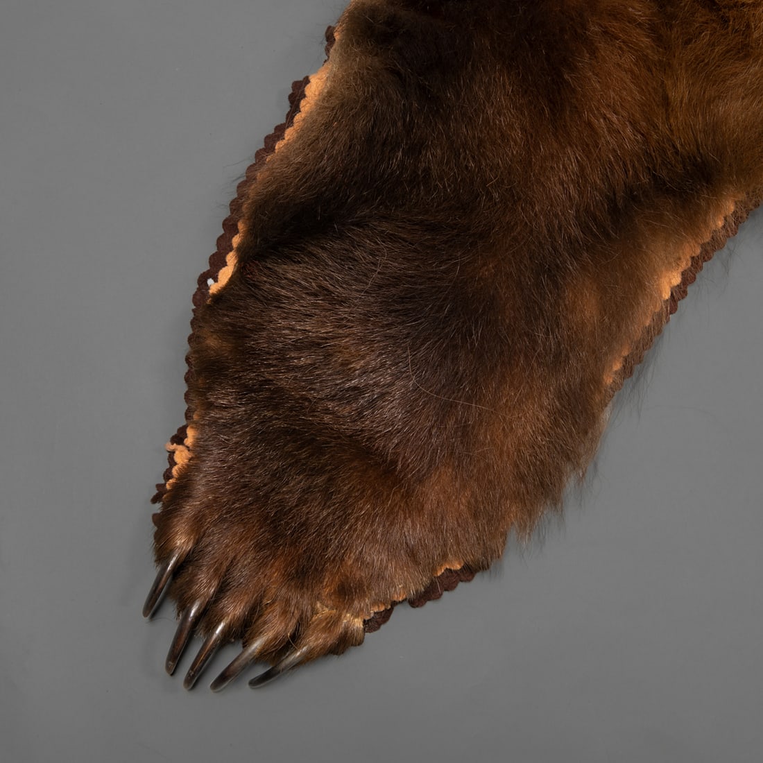 A Kodiak bear hide - 2