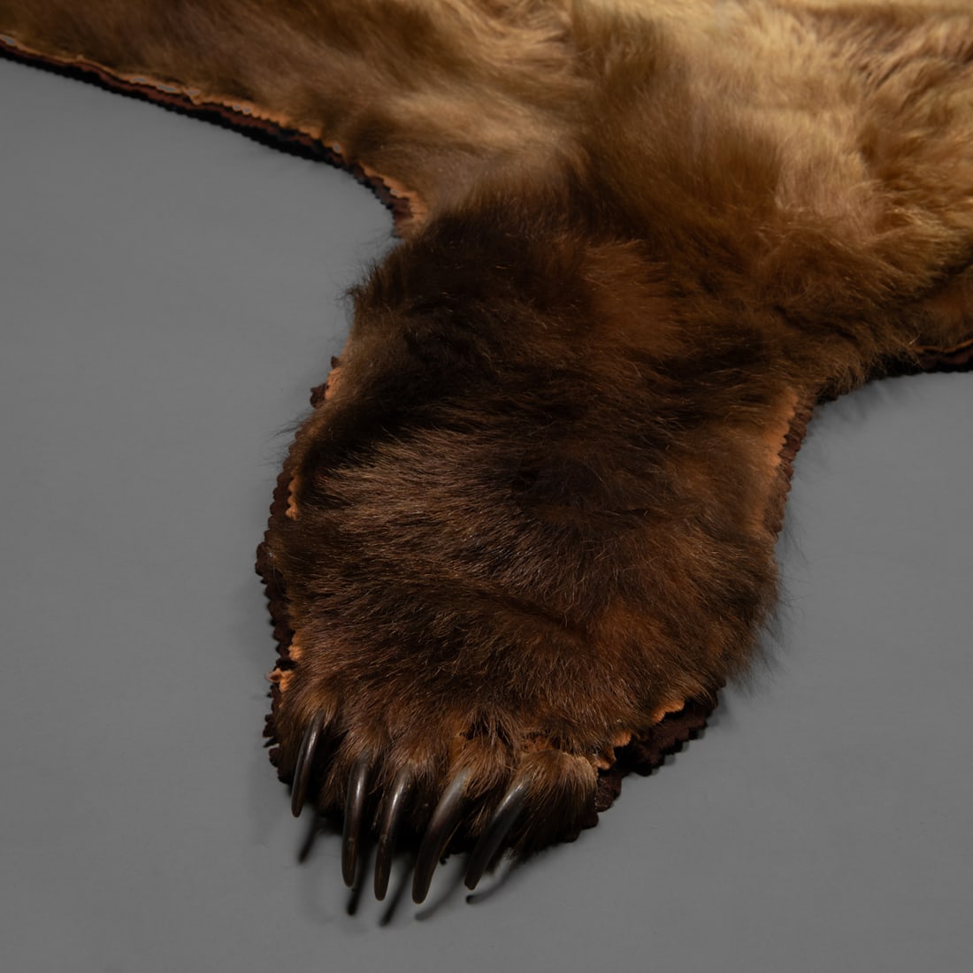 A Kodiak bear hide - 3