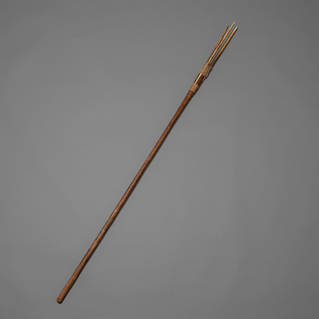 A Northwest Coast fishing spear (1 of 3)