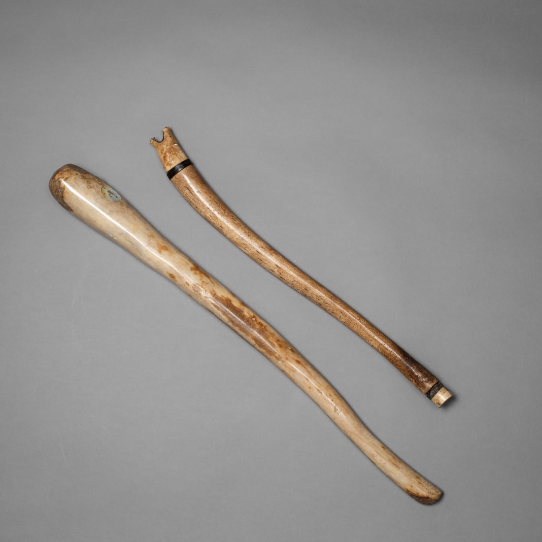 Two Eskimo Oosik clubs: Pair of traditional northern Alaska oosik clubs, each fashioned from naturally curved bacula. The smaller example features a darkened grip and a black inlaid band near the terminal end, while the