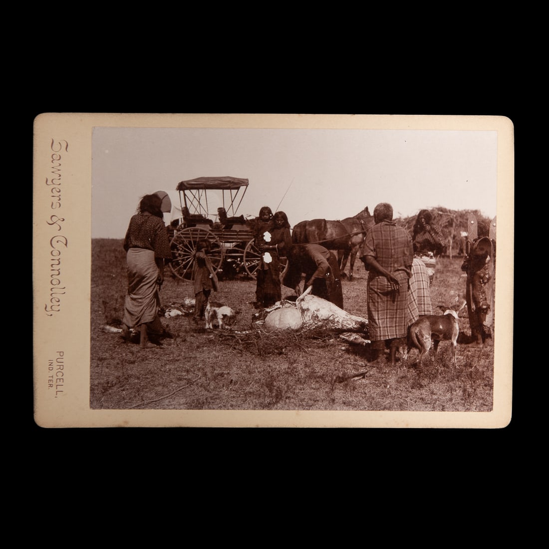 Sawyers & Connolly, Purcell, Indian Territory albumen print cabinet cards: Three cabinet cards by Sawyers and Connolley, of Apaches, Comanches, and Kiowas, each depicting these groups cutting up cattle. Each photograph features numerous men, women and children gathered aroun