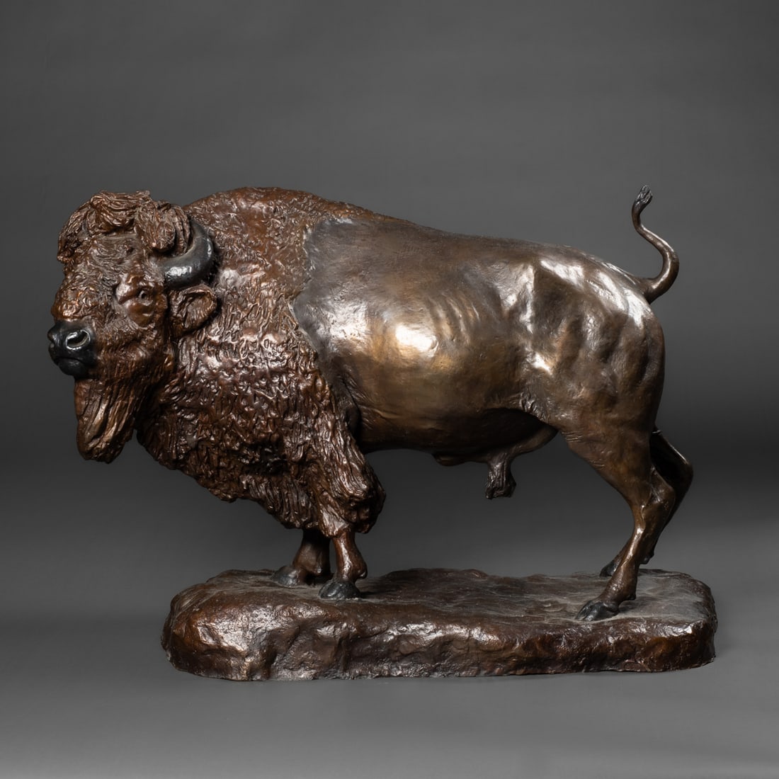 A Robert Scriver Herd Bull bronze (1 of 5)