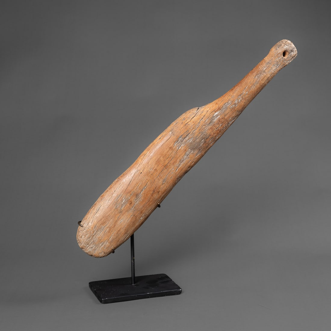 A Maori fern root club: Early 19th century, flat on one side, with rounded edges, the butt pierced for wrist strap, age cracks, mounted on a custom metal stand. Lg. 21, wd 3 1/2 in. Provenance: Tad Dale, Santa Fe, NM.