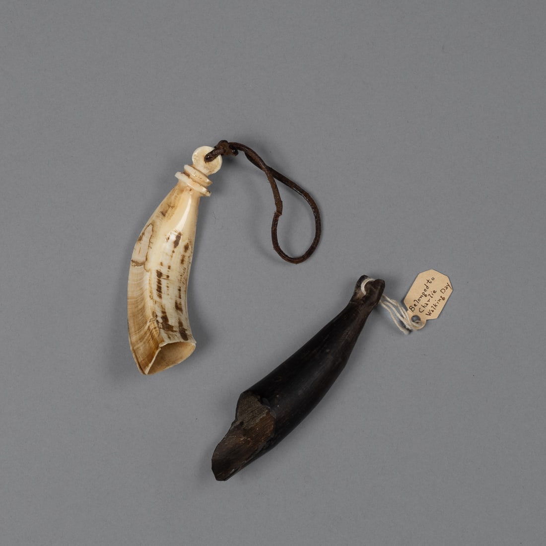 Two 19th Century Native American Powder Measures: A pair of 19th century powder measures for muzzle-loading long rifles, each hand-carved from natural horn/tusk material by a Native American maker, likely Great Lakes Indian or Plains Indian origin.
