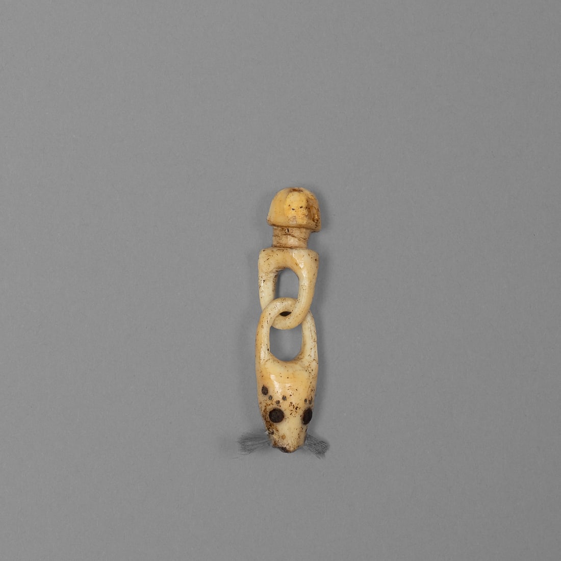 A 19th Century Bering Sea Eskimo Articulated Bag Plug: A finely carved Inuit bag plug in the form of a seal, with a swiveling loop joint. The b0ne shows natural aged patina consistent with 19th century ethnographic use. Culture / Region: Bering Sea