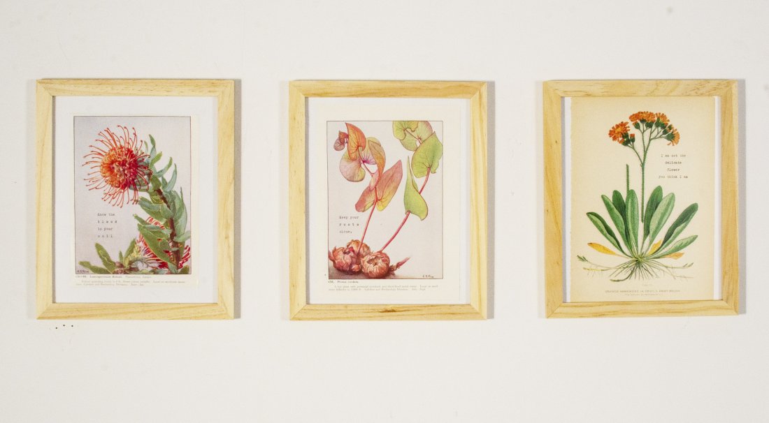 Set of three prints. Thank you, Leo (1 of 1)