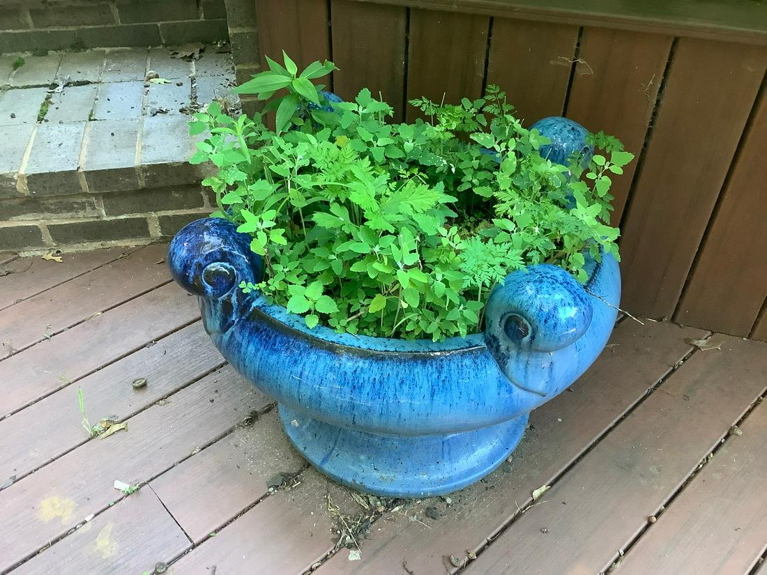 Pottery Vase (1 of 1)