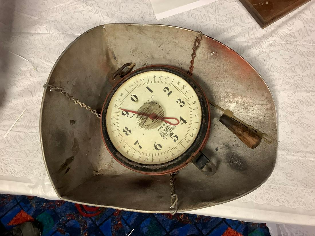 Fruit scale (1 of 1)