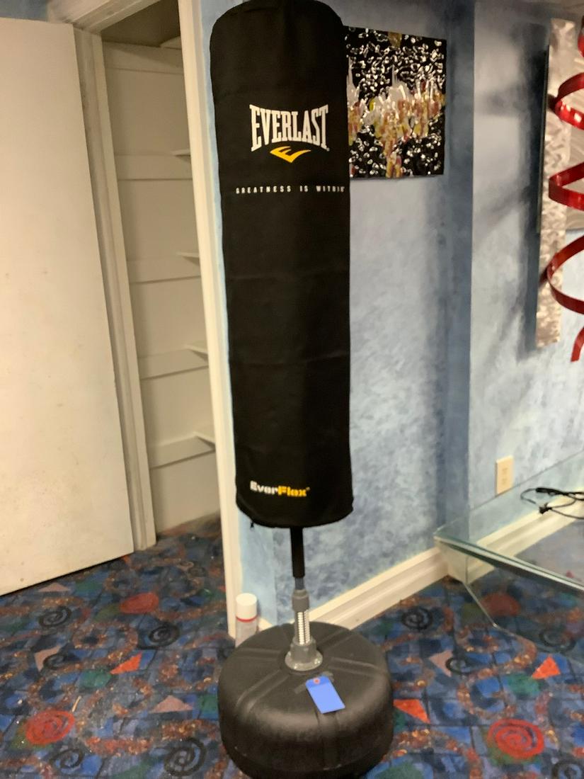 Everlast Bag (1 of 1)