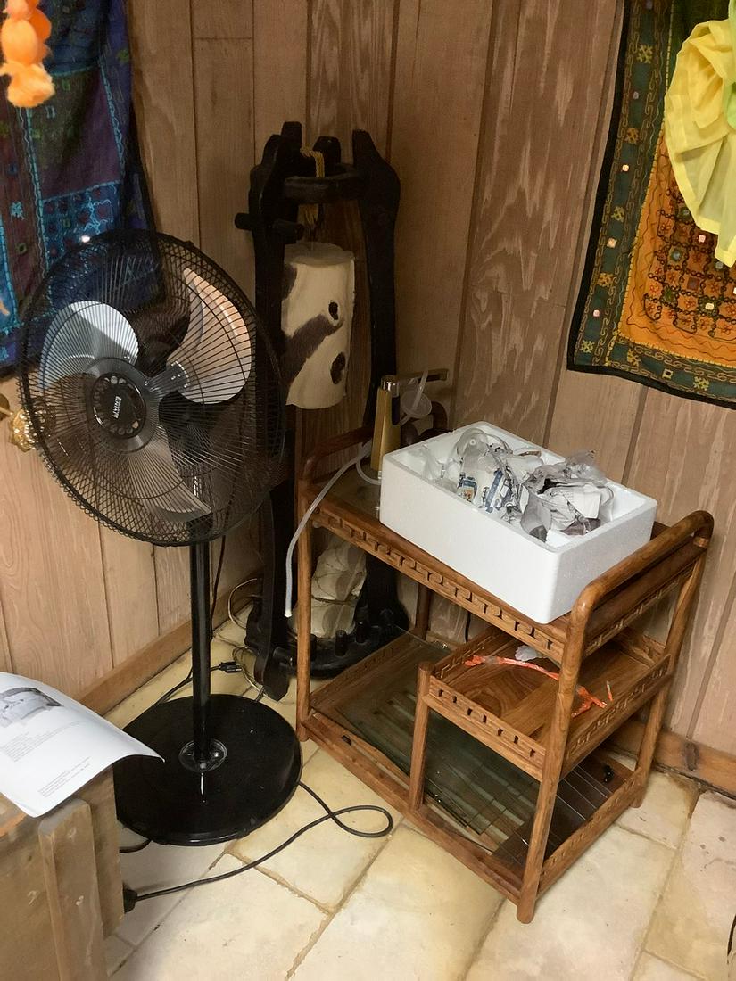 Fan, Table+ (1 of 1)