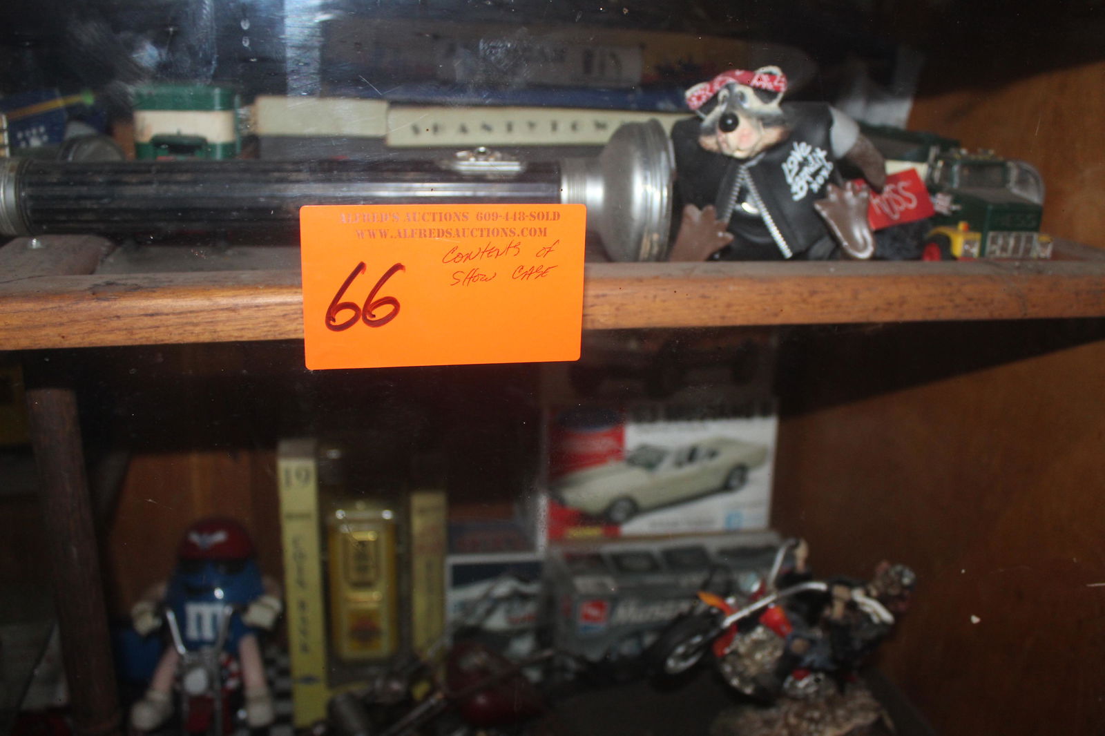 Contents of Show Case (1 of 11)