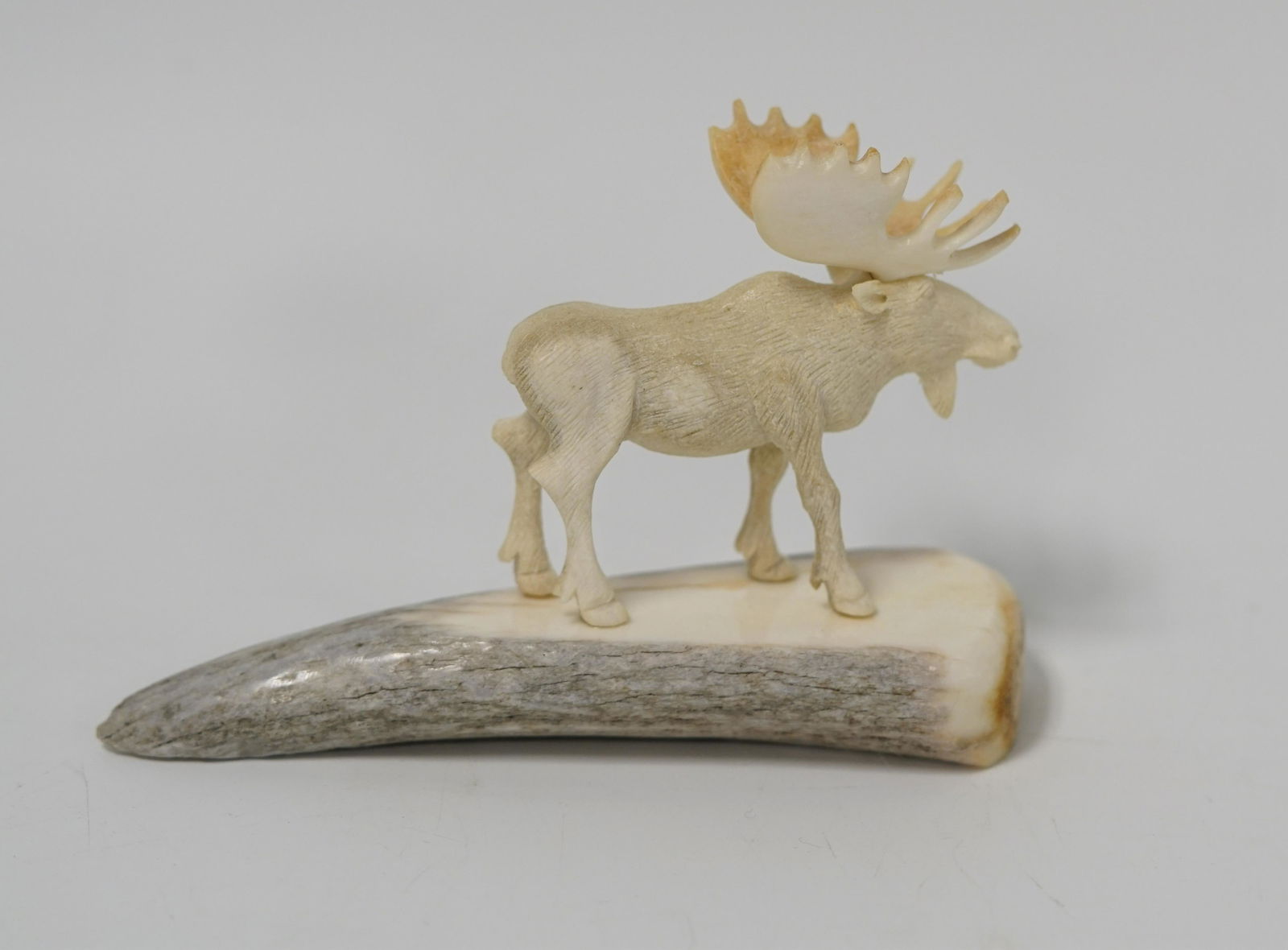 Michael Scott bone carving: Michael Scott bone carving of a moose on an antler base, 5" long (P 22)