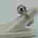 item-107260884=2