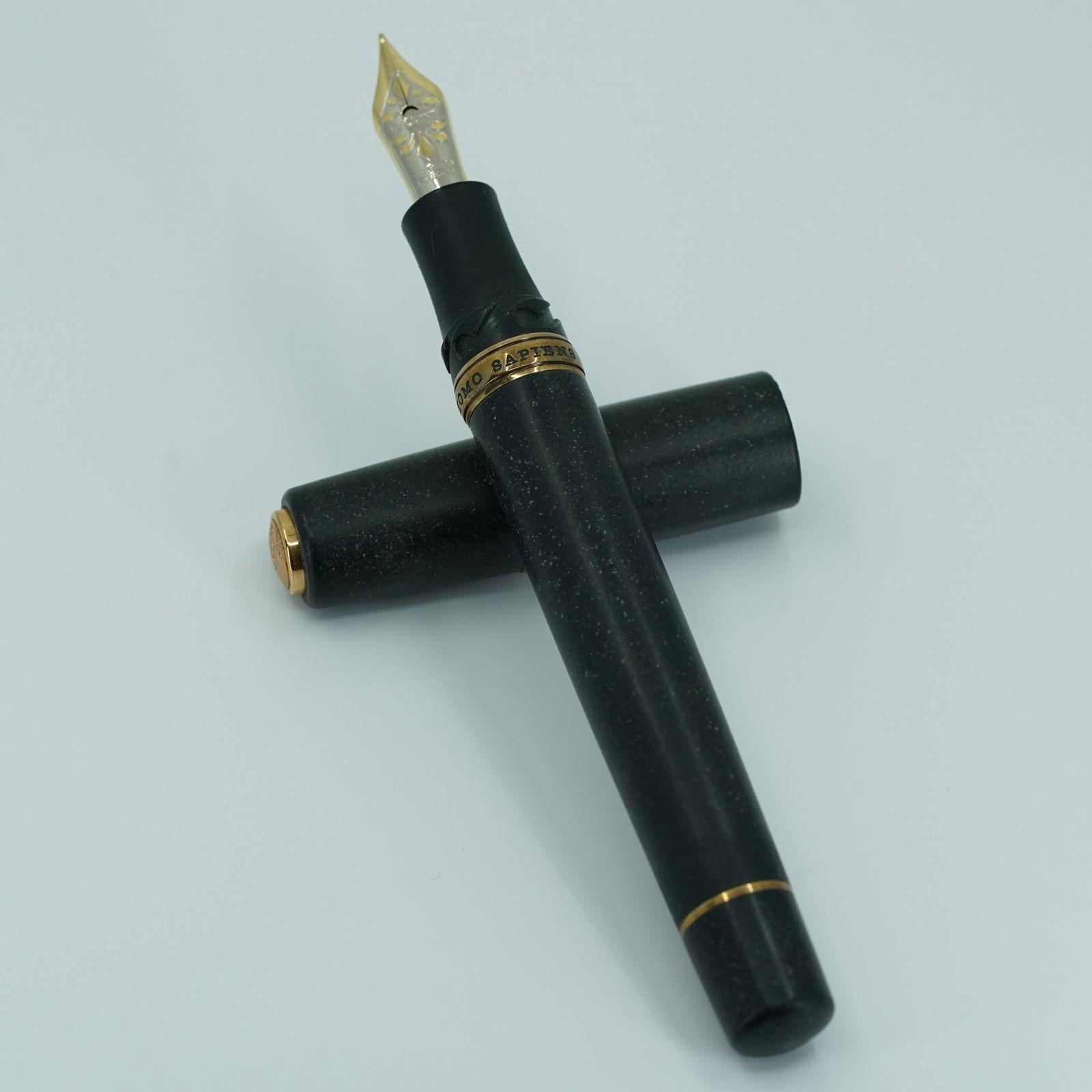 VISCONTI fountain pen (1 of 4)