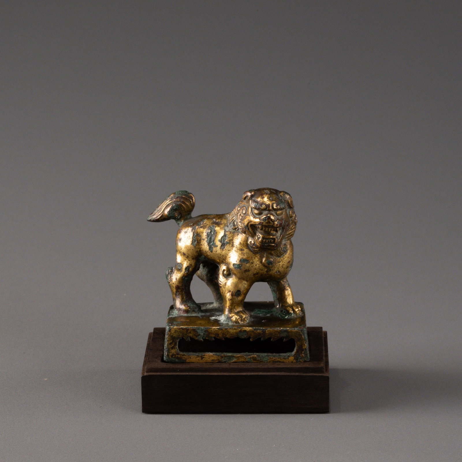 Tang Dynasty Gilded Bronze Lion: H: 7cm W: 6cm