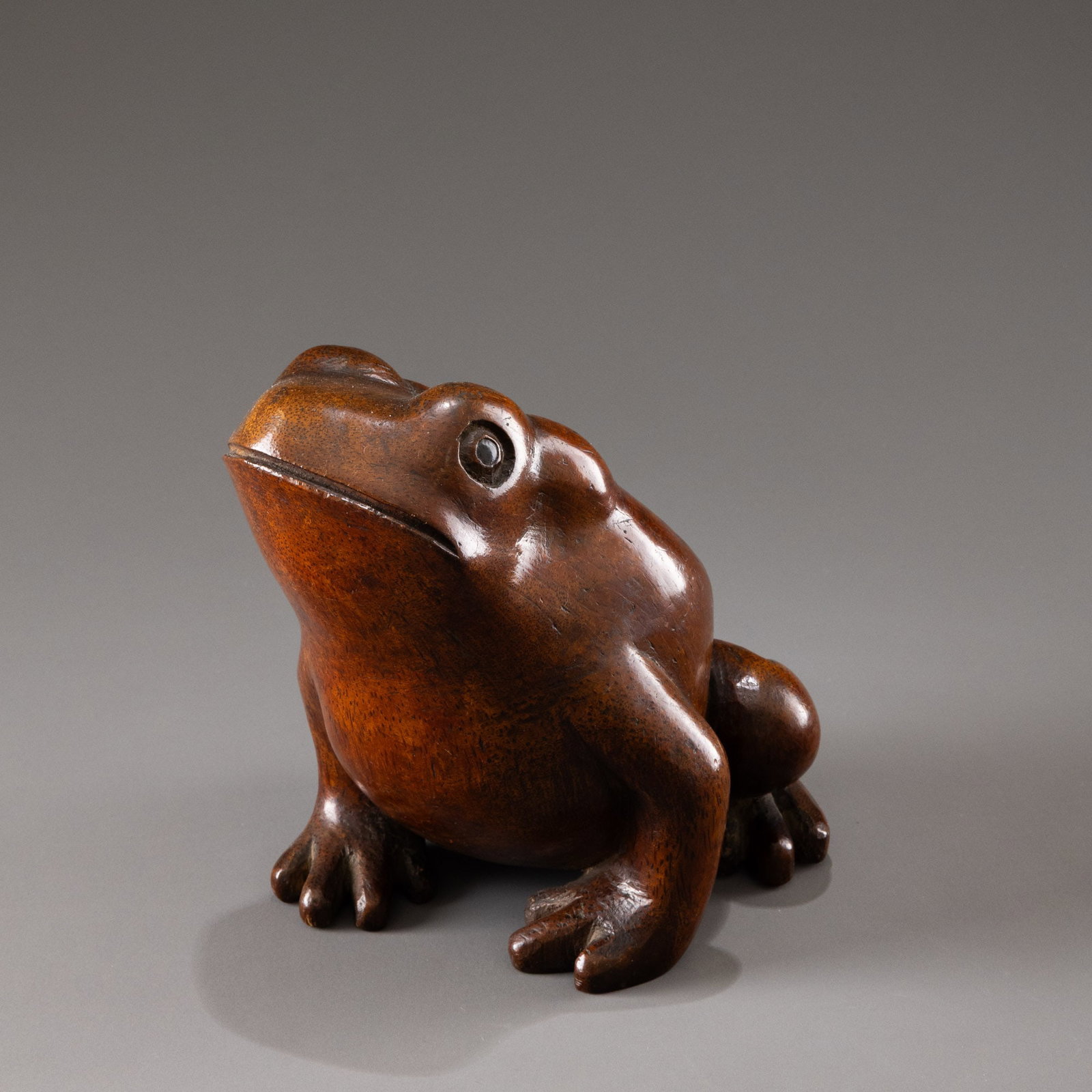 Bamboo root carving of a golden toad: H: 20cm W: 19cm