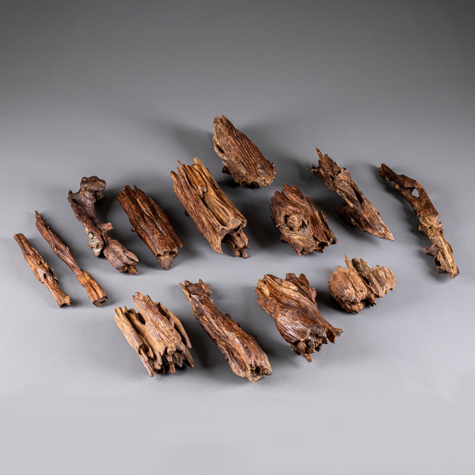 Agarwood 13 points (1 of 11)