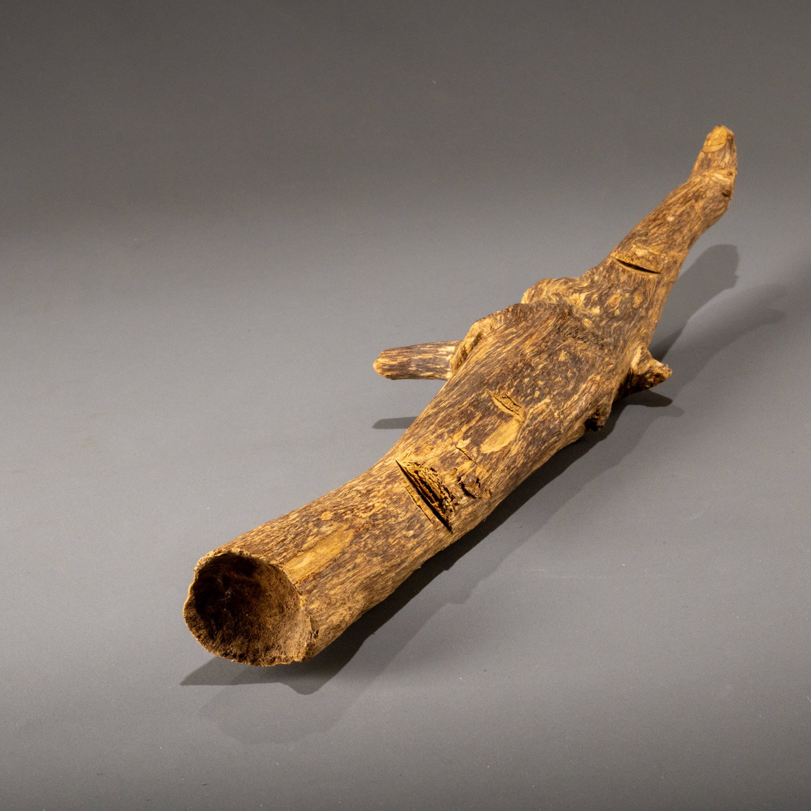Agarwood logs: L: 44cm W: 10cm Weight: 257g