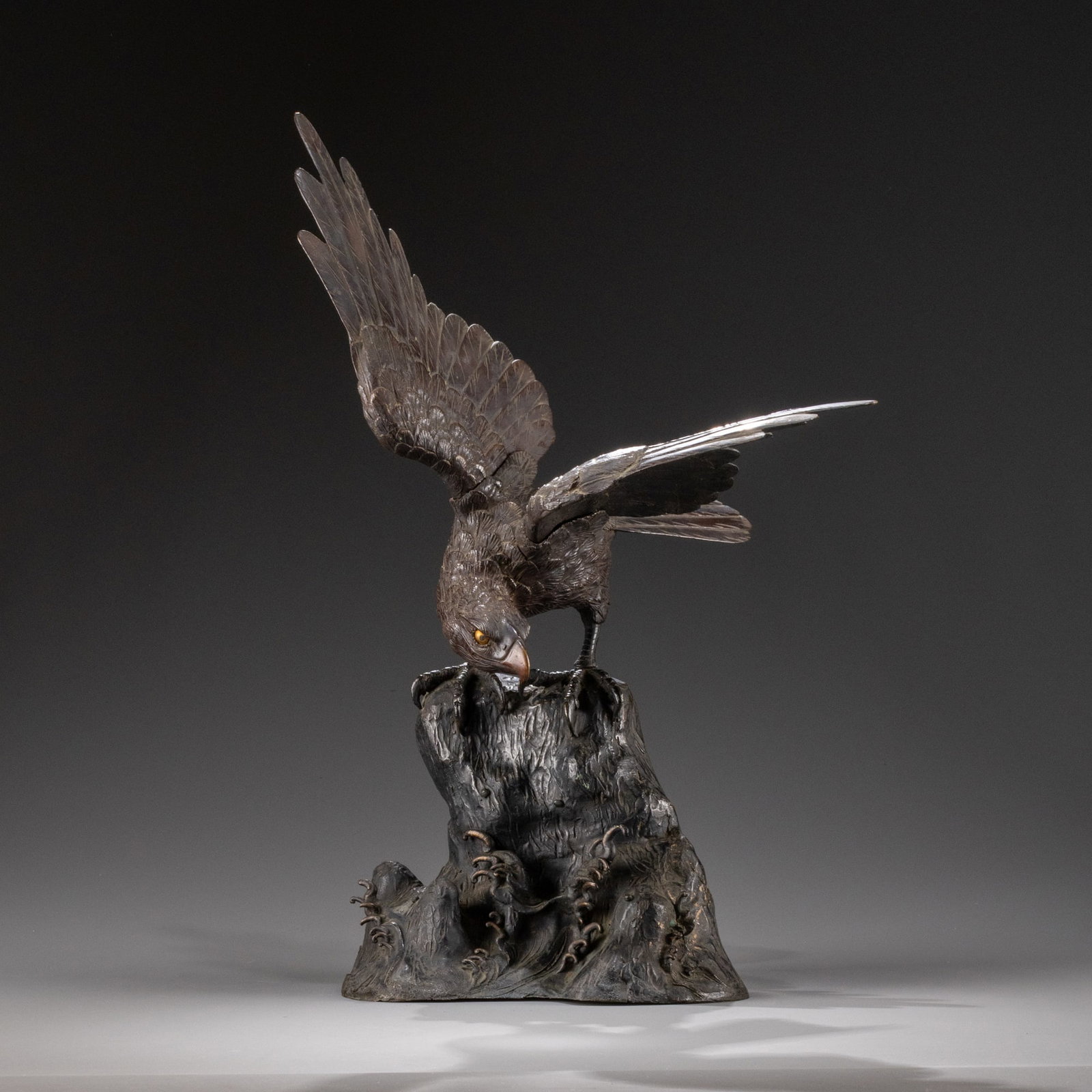 Bronze Eagle Spreads Its Wings (1 of 10)