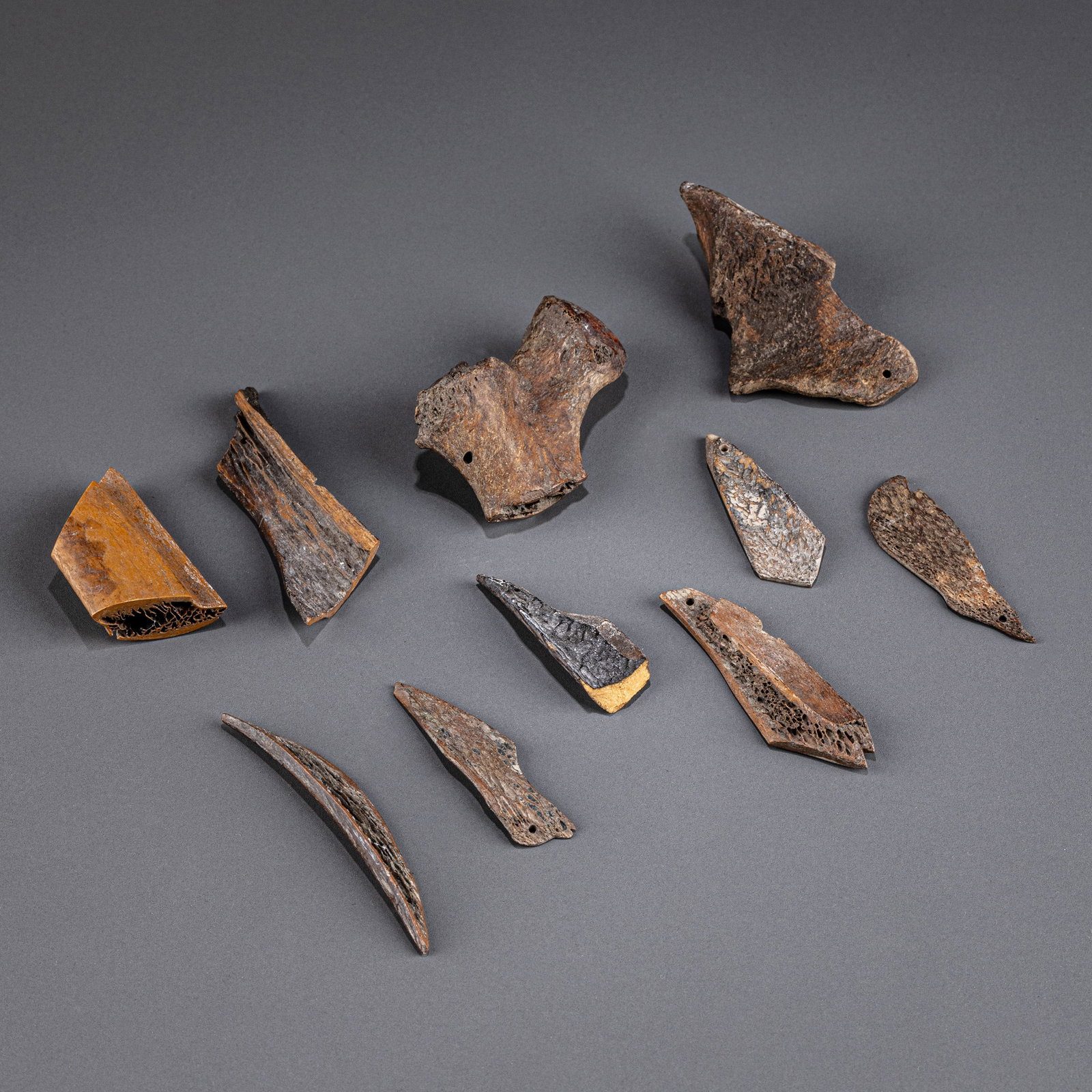 Oracle bone script 10 points - 2