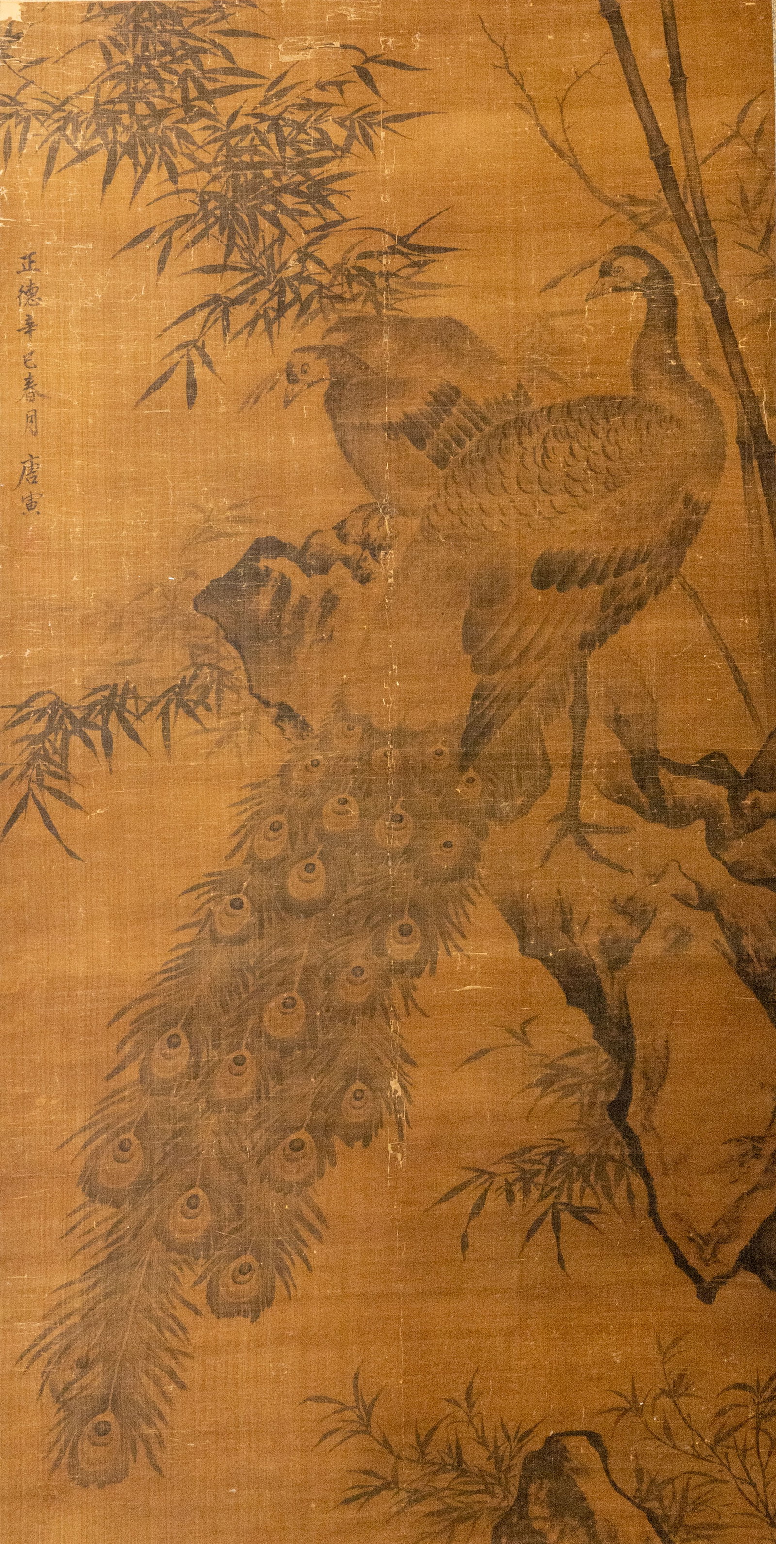 Ming Dynasty Tang Yin's Bamboo, Rock and Peacock: L: 132cm W: 67cm