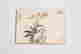 item-107003753=2