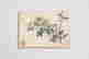 item-107003753=4