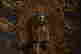 item-110468306=3