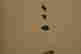 item-110468317=4