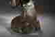 item-116756684=7