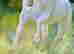 item-118269948=3