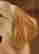 item-118269952=3
