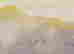 item-118269954=5